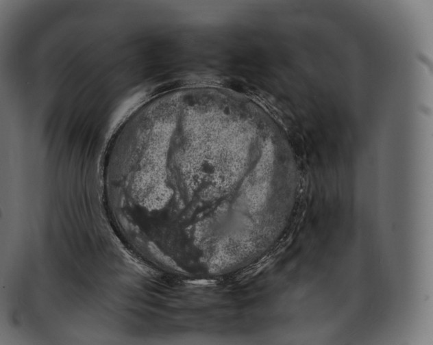 X0000092220053200710121205