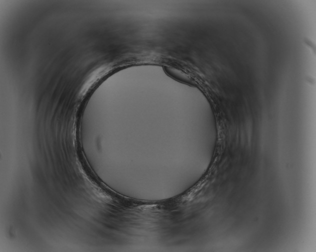 X0000092220054200710121205