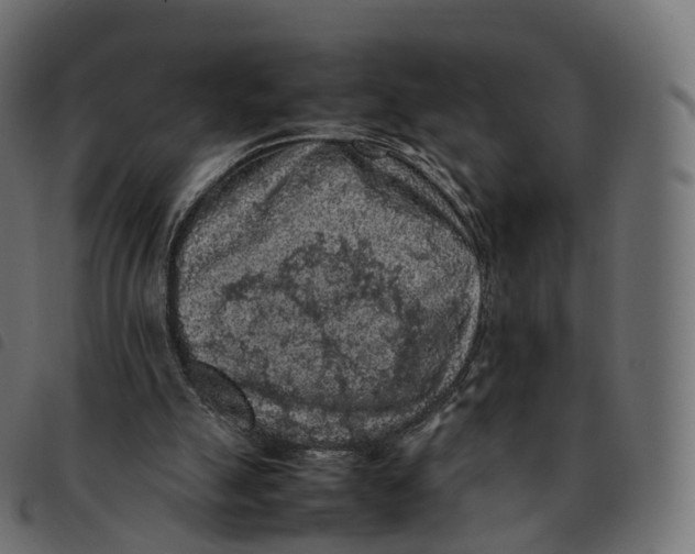 X0000092220055200710121205