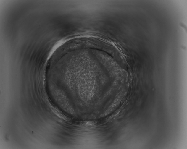 X0000092220056200710121205