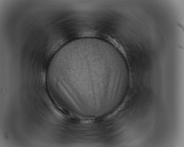 X0000092220057200710121205