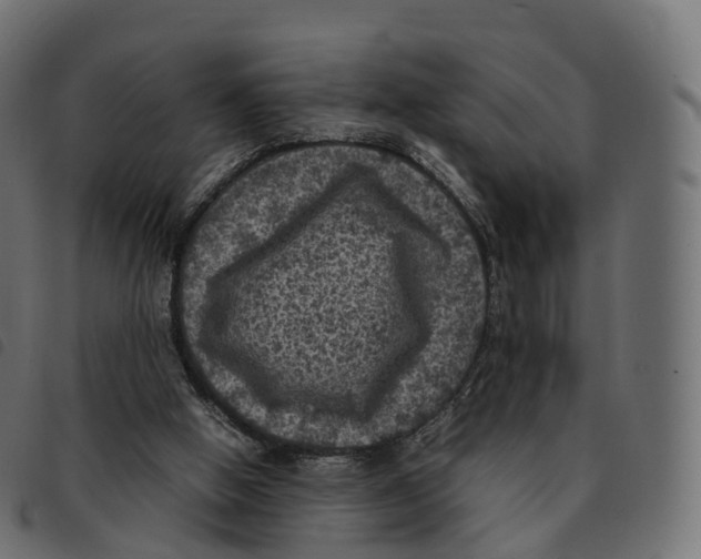 X0000092220058200710121205