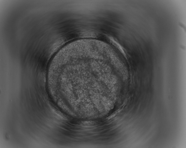 X0000092220059200710121205