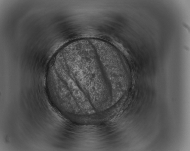 X0000092220060200710121205