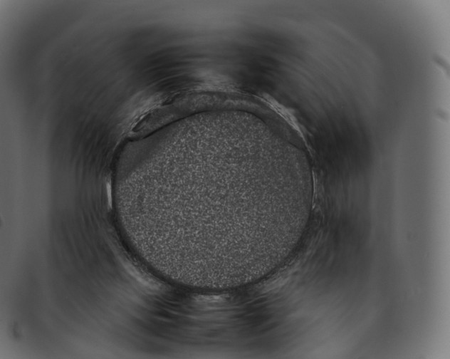 X0000092220061200710121205