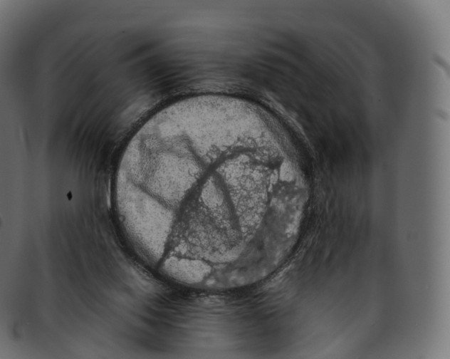 X0000092220062200710121205