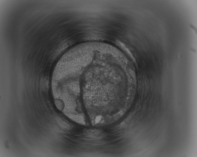 X0000092220063200710121205