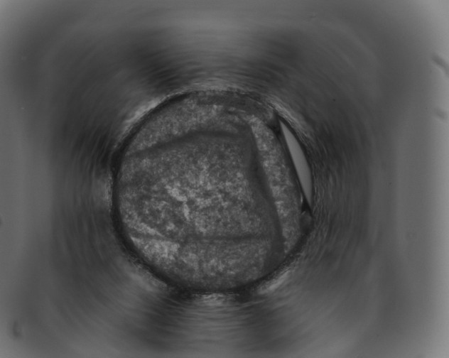 X0000092220064200710121205