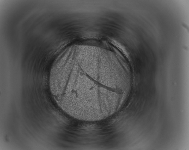 X0000092220065200710121205