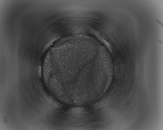 X0000092220067200710121205