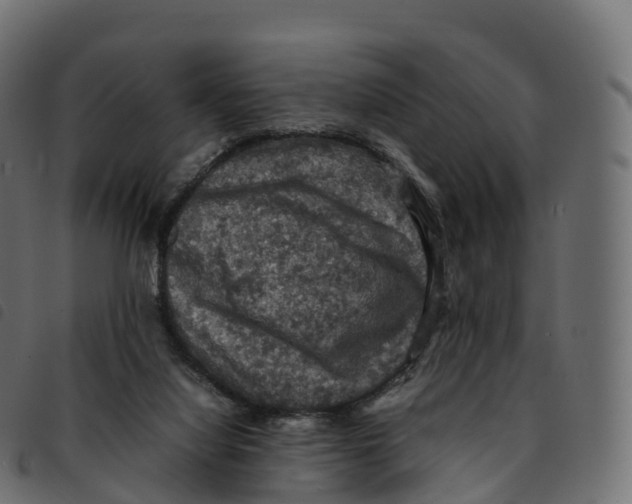 X0000092220068200710121205