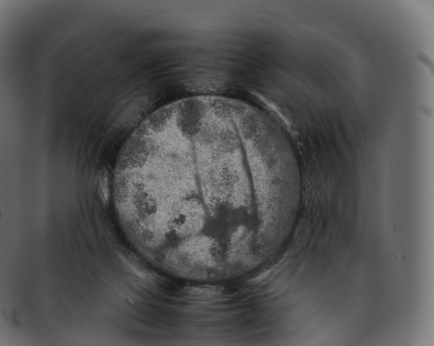 X0000092220069200710121205