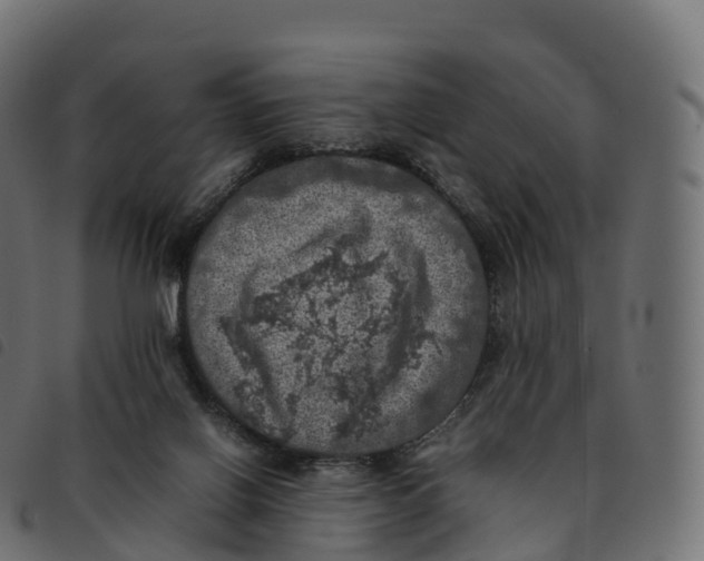 X0000092220070200710121205