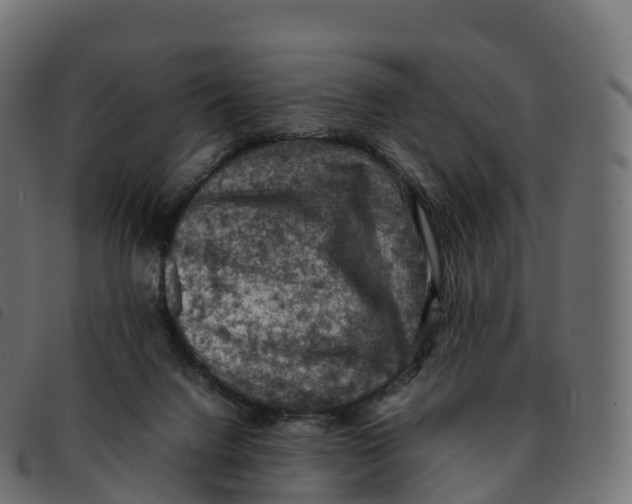 X0000092220072200710121205