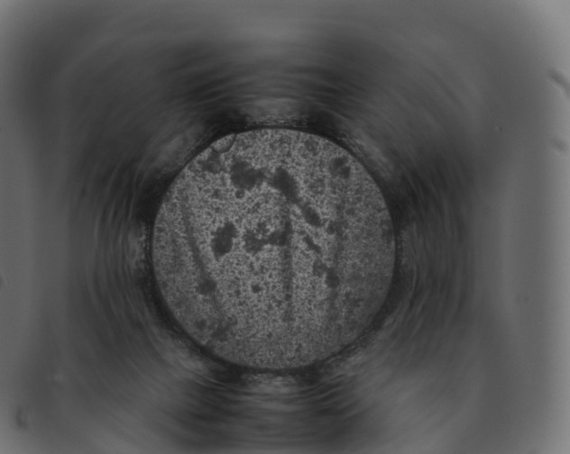 X0000092220073200710121205