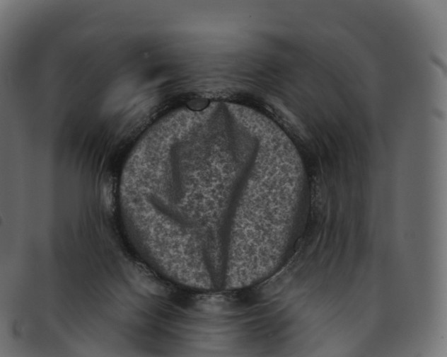 X0000092220074200710121205