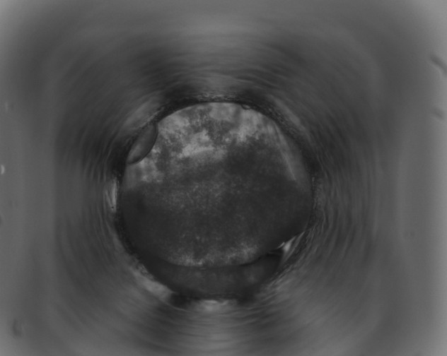 X0000092220076200710121206