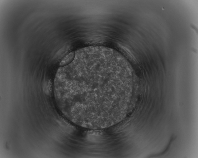 X0000092220077200710121206