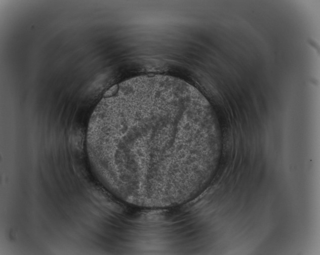 X0000092220078200710121206