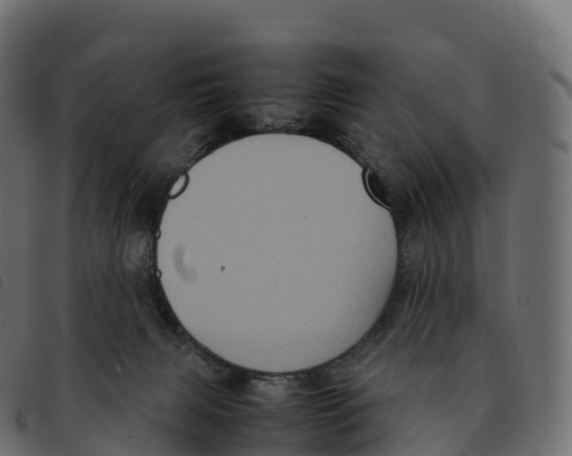 X0000092220079200710121206