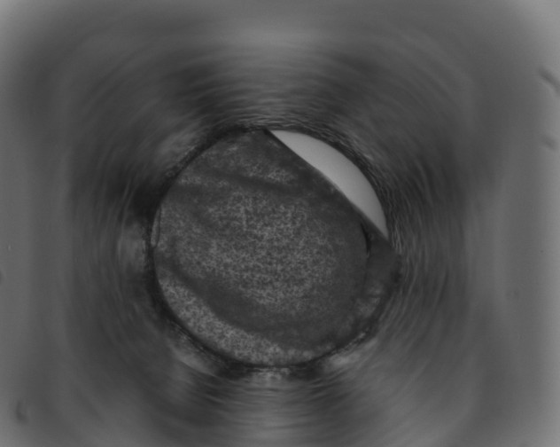 X0000092220080200710121206