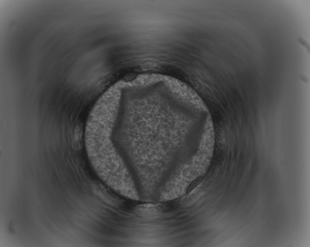 X0000092220082200710121206