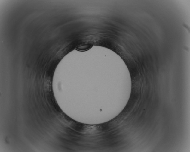 X0000092220083200710121206