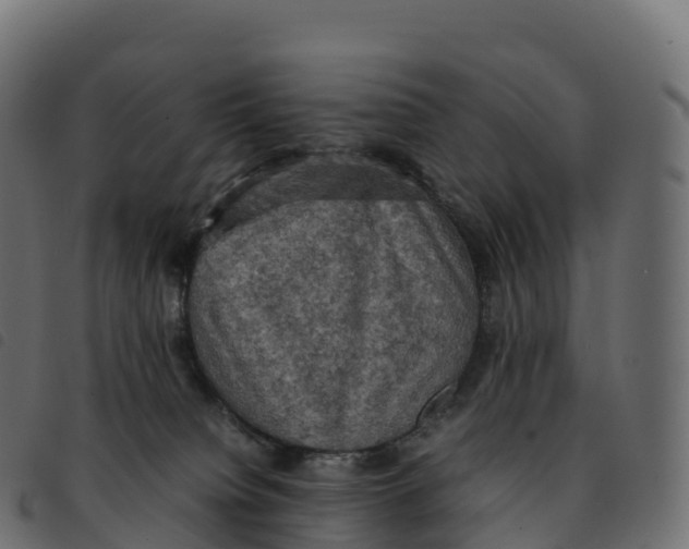 X0000092220084200710121206