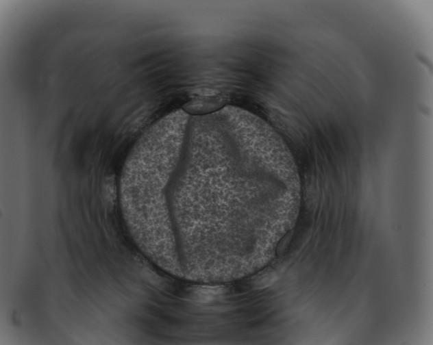 X0000092220085200710121206