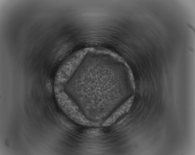 X0000092220086200710121206