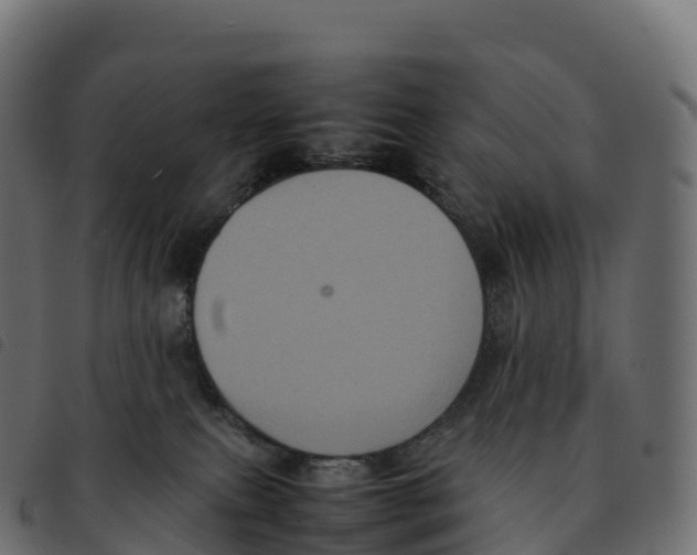 X0000092220087200710121206