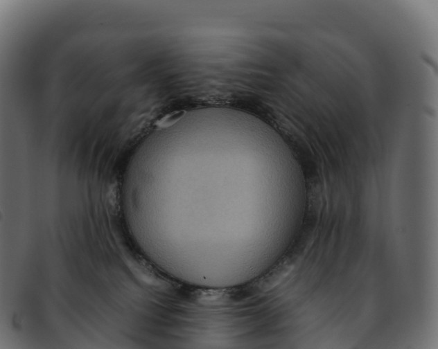 X0000092220088200710121206