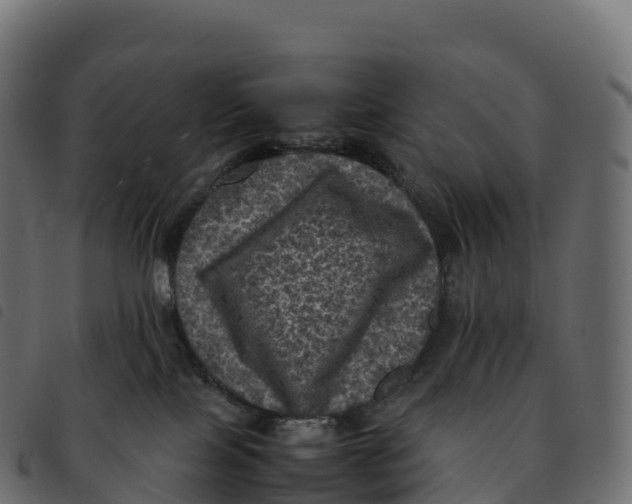 X0000092220089200710121206