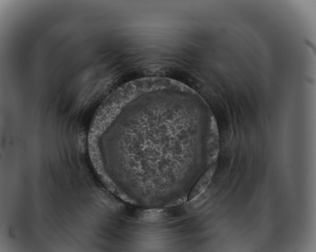 X0000092220090200710121206