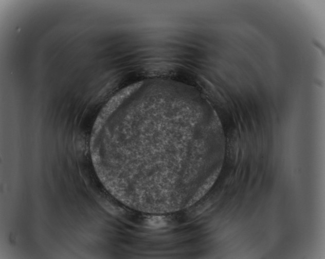 X0000092220091200710121206