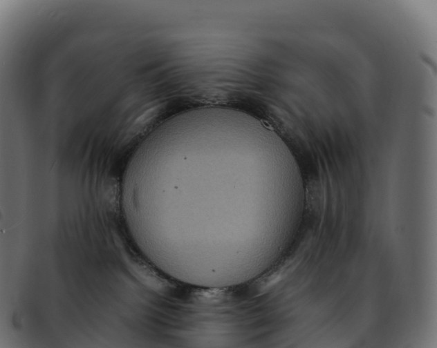 X0000092220092200710121206