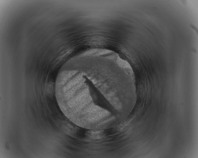 X0000092220093200710121206