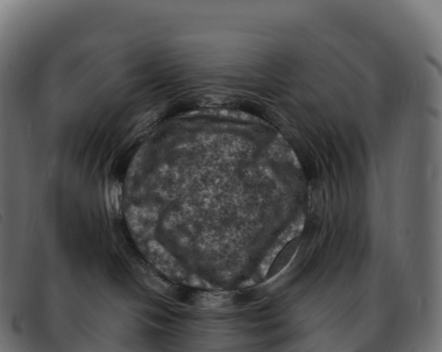 X0000092220094200710121206