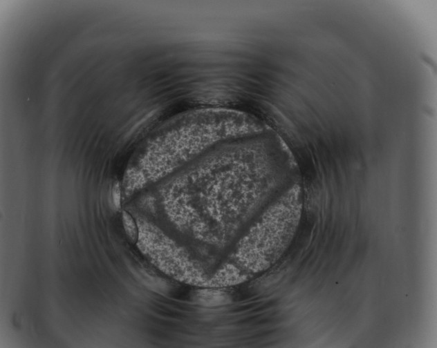 X0000092220095200710121206