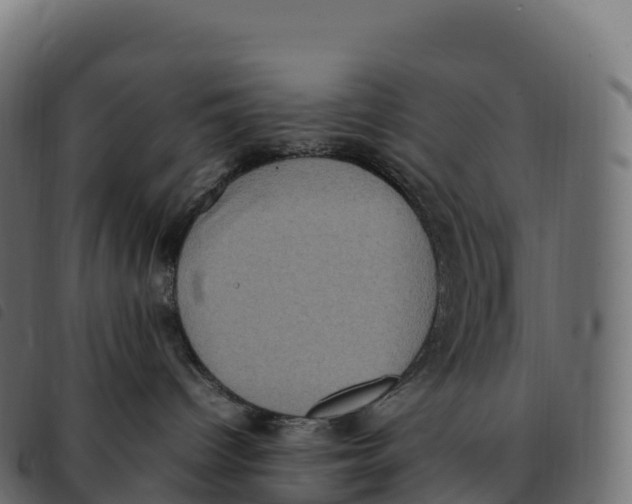 X0000092220096200710121206