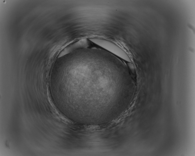 X0000092220097200710121205