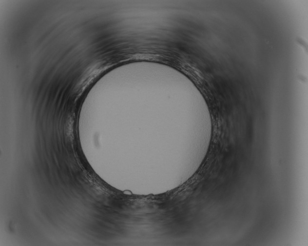 X0000092220098200710121205