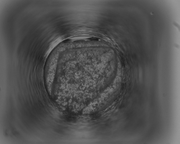 X0000092220099200710121205