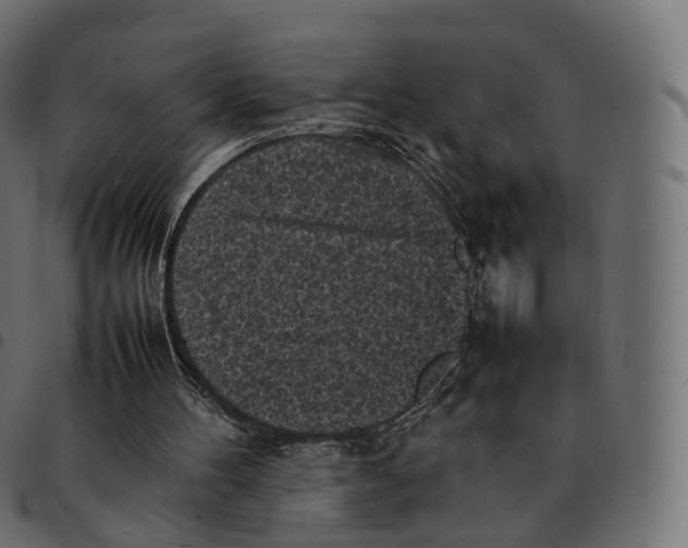 X0000092220100200710121205