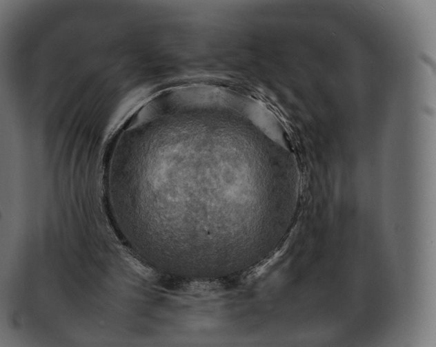 X0000092220101200710121205