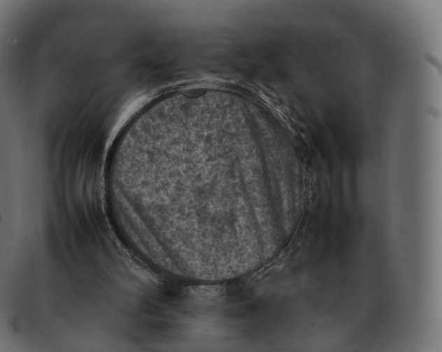 X0000092220102200710121205