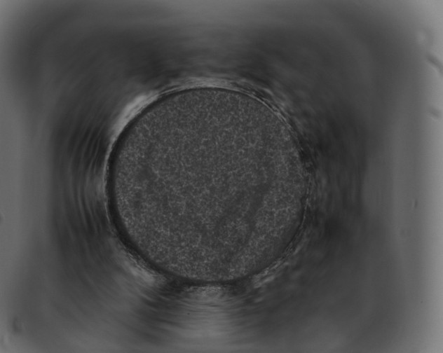 X0000092220104200710121205