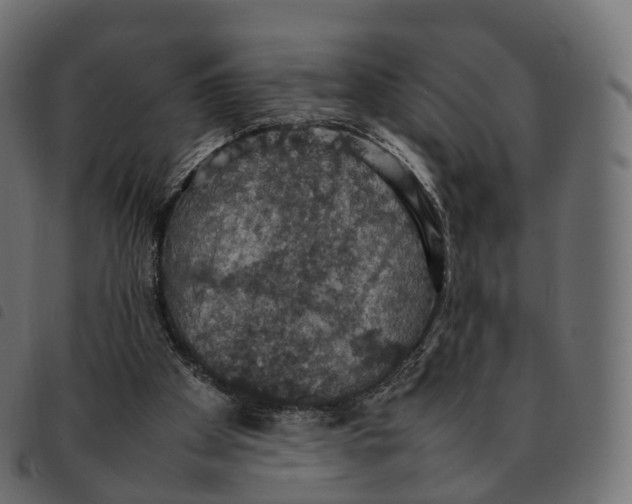 X0000092220105200710121205