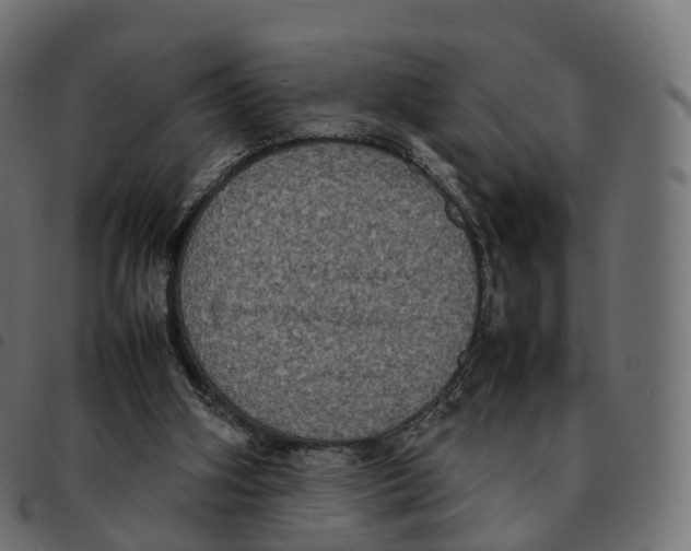 X0000092220106200710121205