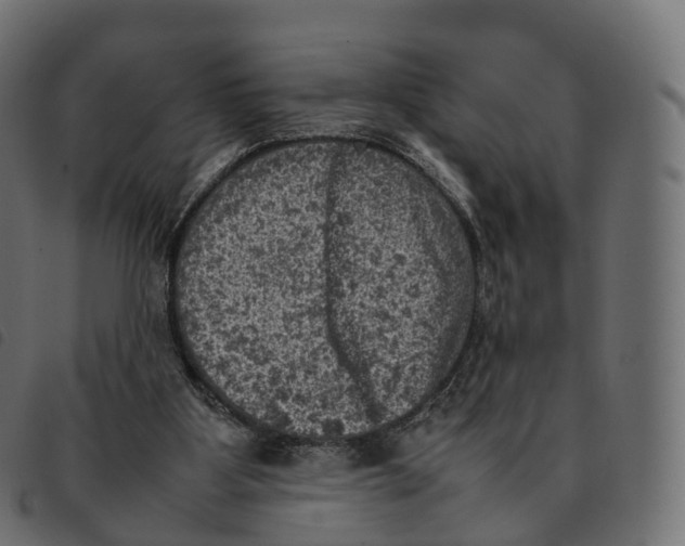 X0000092220107200710121205